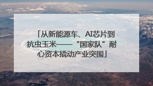 从新能源车、AI芯片到抗虫玉米——“国家队”耐心资本撬动产业突围
