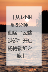 从1小时到5分钟 仙居“云端速递”开启杨梅锁鲜之旅