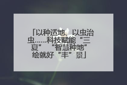 以种适地、以虫治虫……科技赋能“三夏” “智慧种地”绘就好“丰”景