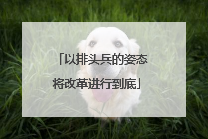 以排头兵的姿态将改革进行到底