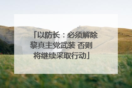 以防长：必须解除黎真主党武装 否则将继续采取行动