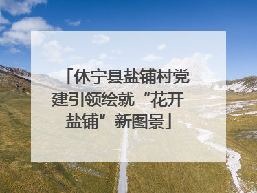 休宁县盐铺村党建引领绘就“花开盐铺”新图景