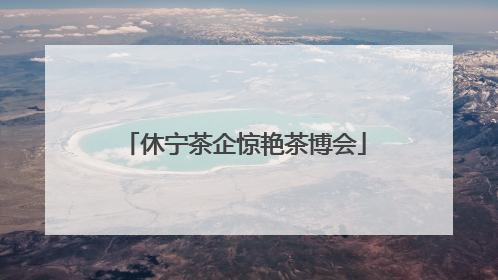休宁茶企惊艳茶博会