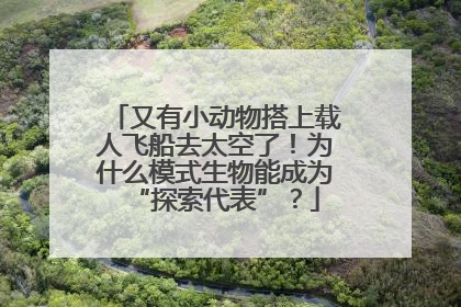 又有小动物搭上载人飞船去太空了！为什么模式生物能成为“探索代表”？