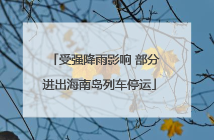 受强降雨影响 部分进出海南岛列车停运