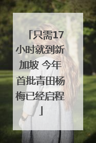 只需17小时就到新加坡 今年首批青田杨梅已经启程