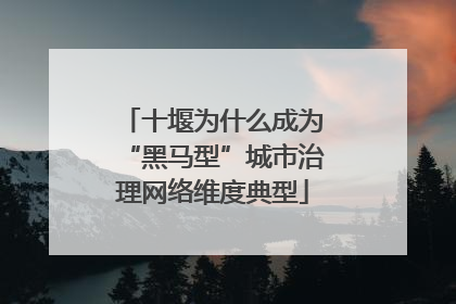 十堰为什么成为“黑马型”城市治理网络维度典型