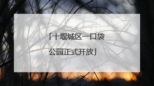十堰城区一口袋公园正式开放