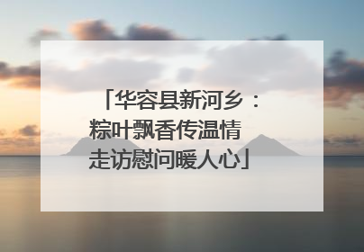 华容县新河乡：粽叶飘香传温情 走访慰问暖人心