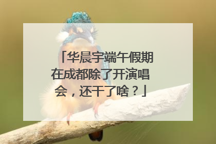 华晨宇端午假期在成都除了开演唱会，还干了啥？