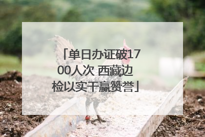 单日办证破1700人次 西藏边检以实干赢赞誉