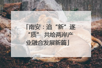 南安：追“新”逐“质” 共绘两岸产业融合发展新篇