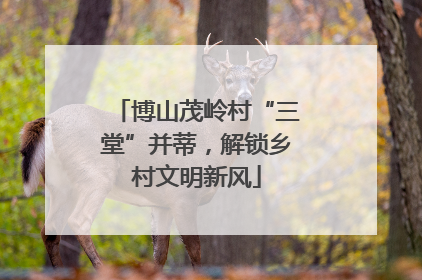 博山茂岭村“三堂”并蒂，解锁乡村文明新风
