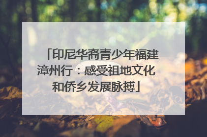 印尼华裔青少年福建漳州行：感受祖地文化和侨乡发展脉搏