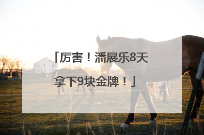 厉害！潘展乐8天拿下9块金牌！