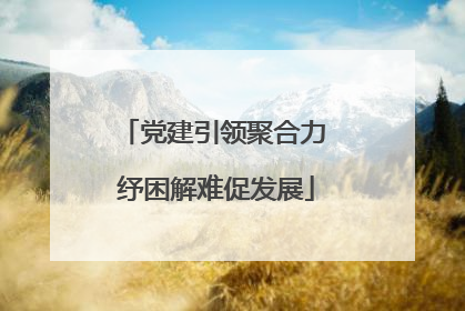 党建引领聚合力 纾困解难促发展