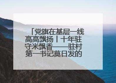党旗在基层一线高高飘扬丨十年驻守米飘香——驻村第一书记莫日发的乡村印记