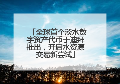 全球首个淡水数字资产代币于迪拜推出，开启水资源交易新尝试