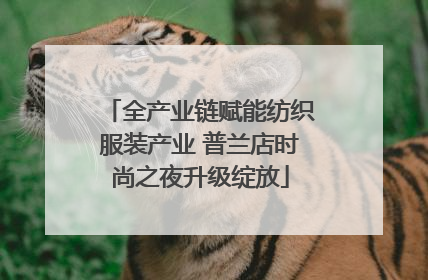 全产业链赋能纺织服装产业 普兰店时尚之夜升级绽放