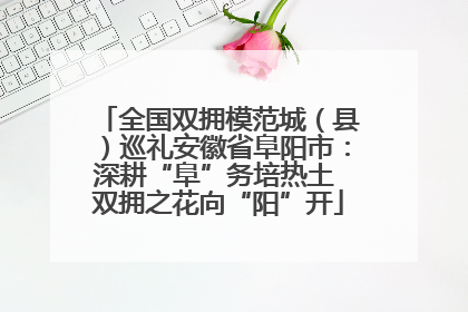 全国双拥模范城（县）巡礼安徽省阜阳市：深耕“阜”务培热土 双拥之花向“阳”开