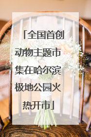 全国首创动物主题市集在哈尔滨极地公园火热开市