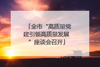 全市“高质量党建引领高质量发展”座谈会召开