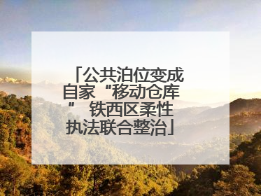 公共泊位变成自家“移动仓库” 铁西区柔性执法联合整治