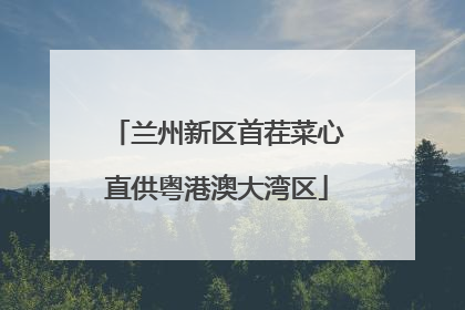 兰州新区首茬菜心直供粤港澳大湾区