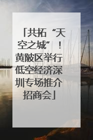 共拓“天空之城”！黄陂区举行低空经济深圳专场推介招商会