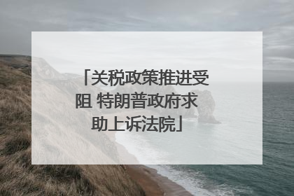 关税政策推进受阻 特朗普政府求助上诉法院
