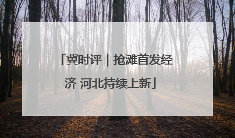 冀时评｜抢滩首发经济 河北持续上新