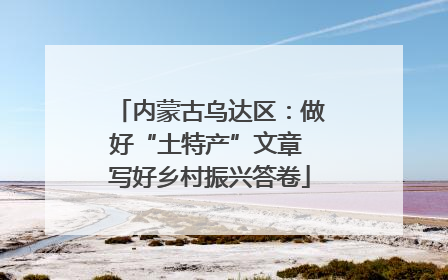 内蒙古乌达区：做好“土特产”文章 写好乡村振兴答卷