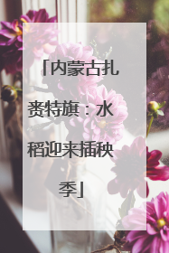 内蒙古扎赉特旗：水稻迎来插秧季