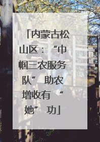 内蒙古松山区：“巾帼三农服务队” 助农增收有 “她” 功