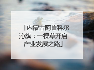 内蒙古阿鲁科尔沁旗：一棵草开启产业发展之路