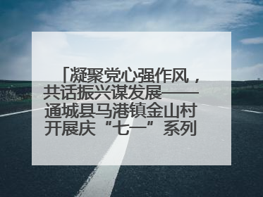 凝聚党心强作风，共话振兴谋发展——通城县马港镇金山村开展庆“七一”系列庆祝活动