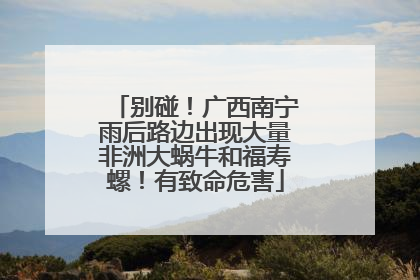 别碰！广西南宁雨后路边出现大量非洲大蜗牛和福寿螺！有致命危害