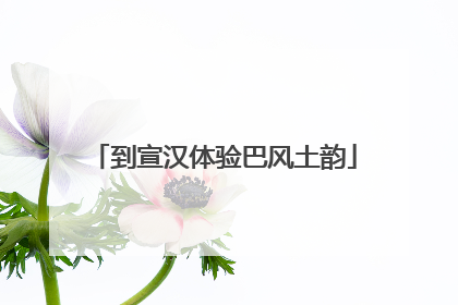到宣汉体验巴风土韵