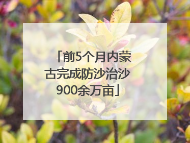 前5个月内蒙古完成防沙治沙900余万亩