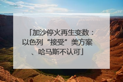 加沙停火再生变数：以色列“接受”美方案、哈马斯不认可