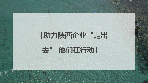 助力陕西企业“走出去” 他们在行动