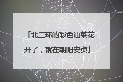北三环的彩色油菜花开了，就在朝阳安贞