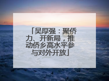 吴厚强：聚侨力、开新局，推动侨乡高水平参与对外开放