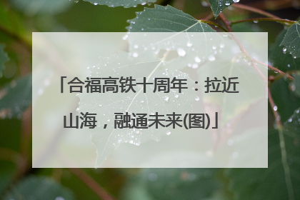 合福高铁十周年：拉近山海，融通未来(图)