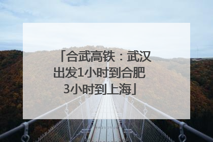 合武高铁：武汉出发1小时到合肥3小时到上海