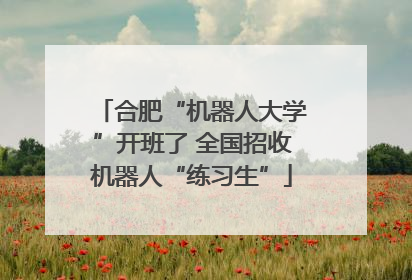 合肥“机器人大学”开班了 全国招收机器人“练习生”