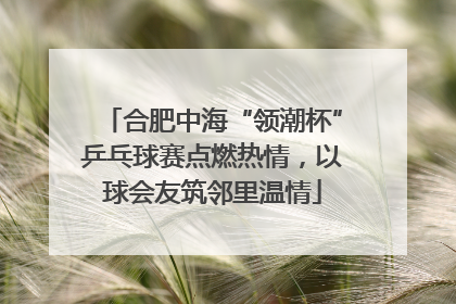 合肥中海“领潮杯”乒乓球赛点燃热情，以球会友筑邻里温情