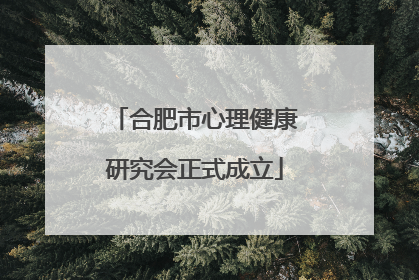 合肥市心理健康研究会正式成立