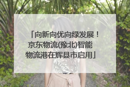 向新向优向绿发展！京东物流(豫北)智能物流港在辉县市启用