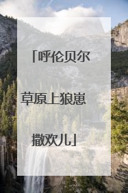 呼伦贝尔草原上狼崽撒欢儿